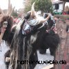 Dorffasnet 2016