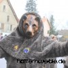 NZH Umzug 2018