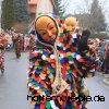 NZH Umzug 2018