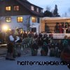 Narrenbaum 2019